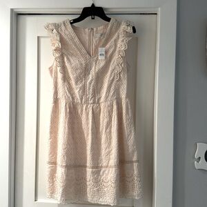 Pink eyelet sleeveless dress loft size 6
